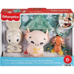 Fisher price - Set de regalo muchos sentidos.